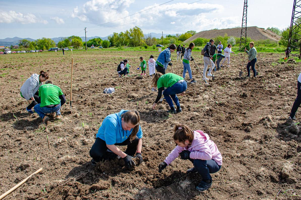 Засадиха още 500 фиданки в Новата гора на София (СНИМКИ)
