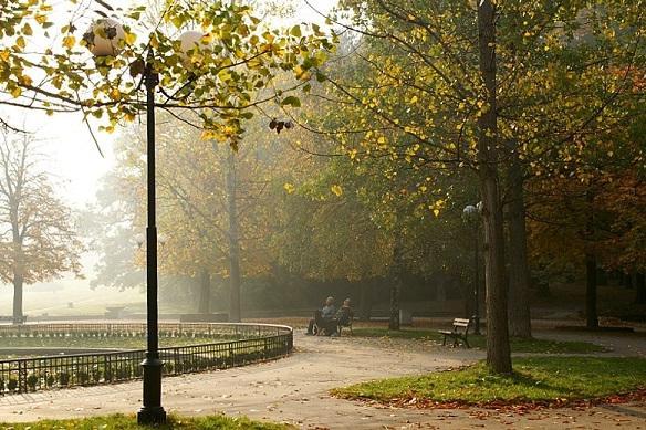 Повече от 4000 дървета се засаждат ежегодно в София