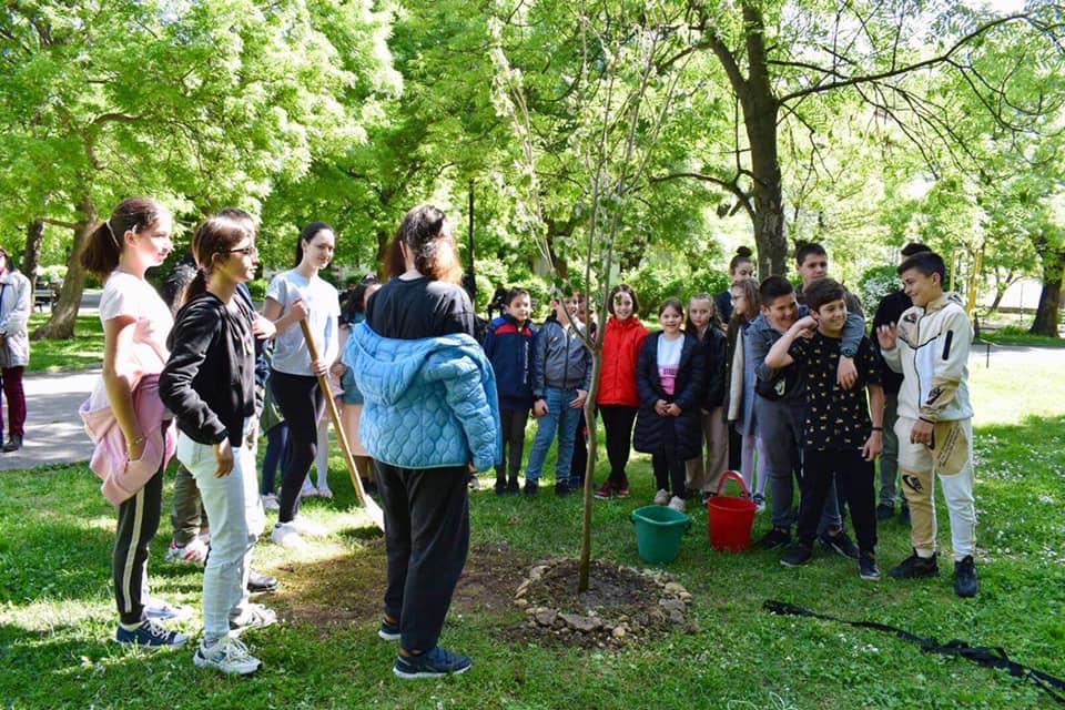 Ученици от столичното 48. ОУ „Йосиф Ковачев“ засадиха дървета в "Алжир