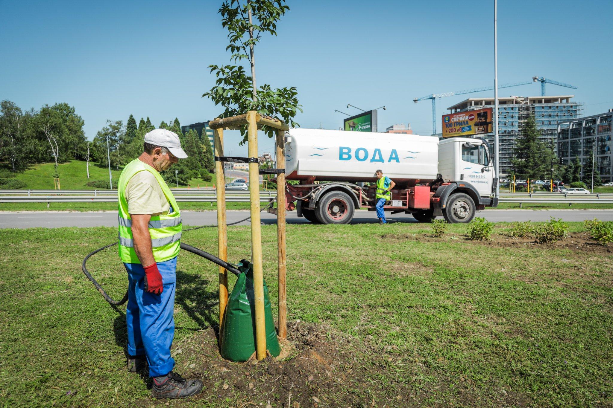 Иновативно поливат новозасадените дървета по столичния бул. България