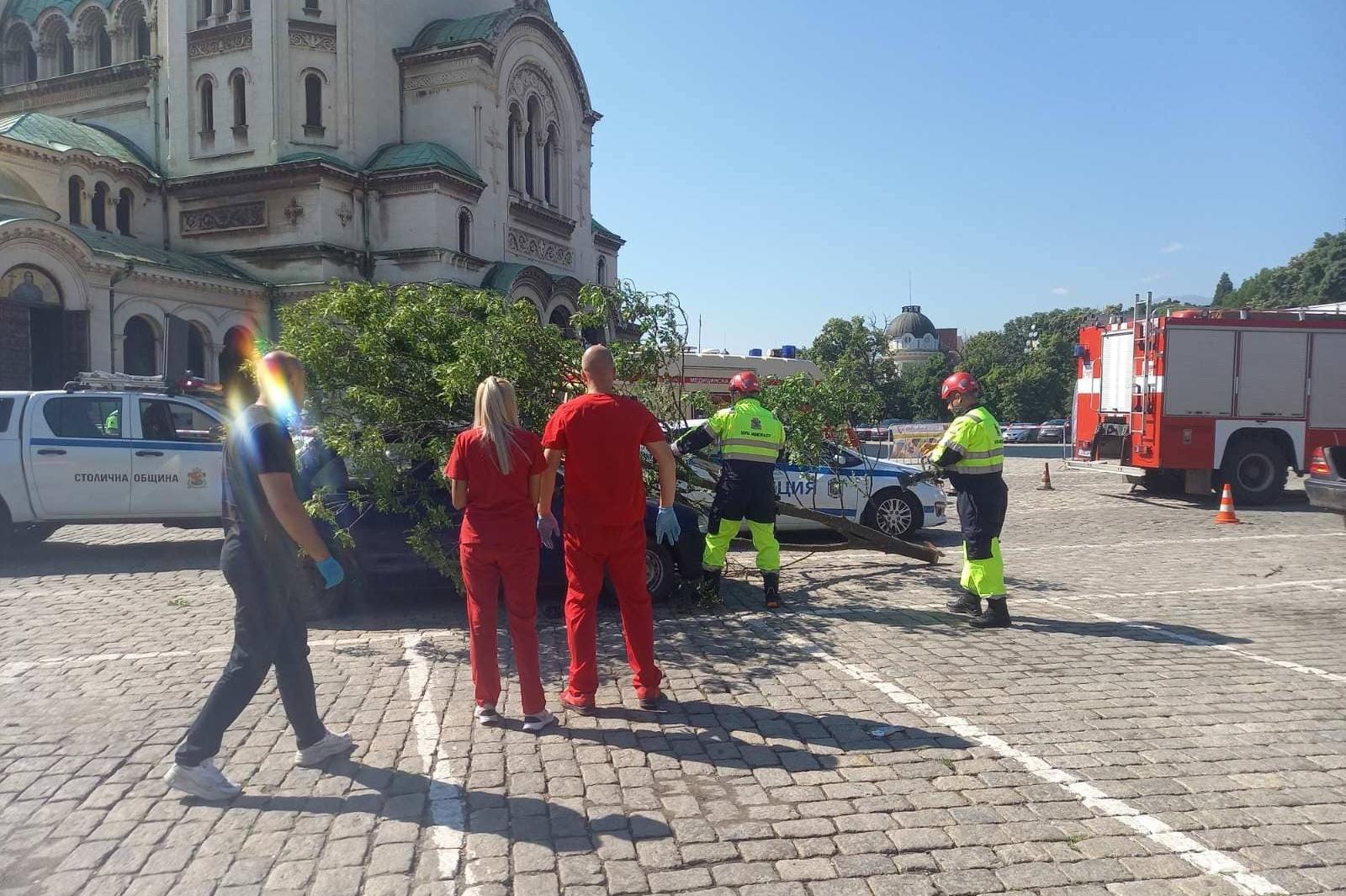 Пътна безопасност: Трима спасени в 2 "катастрофи" на пл. "Св. Ал. Невски"
