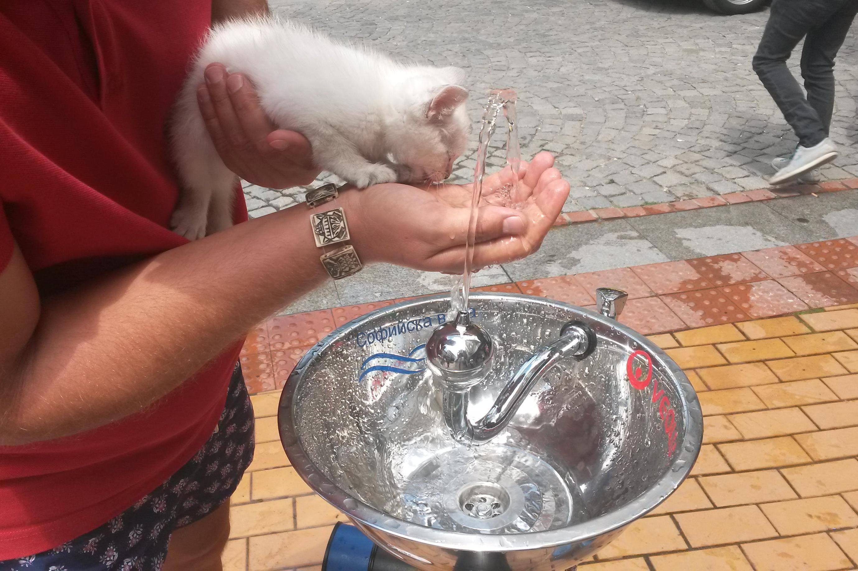 „Водни човеци“ утоляват жаждата на столичани в жегата