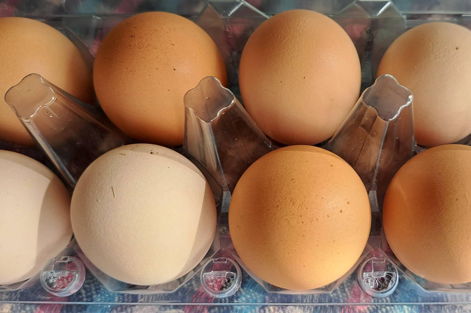 В София и страната: Яйцата гонят 50 стотинки на бройка
