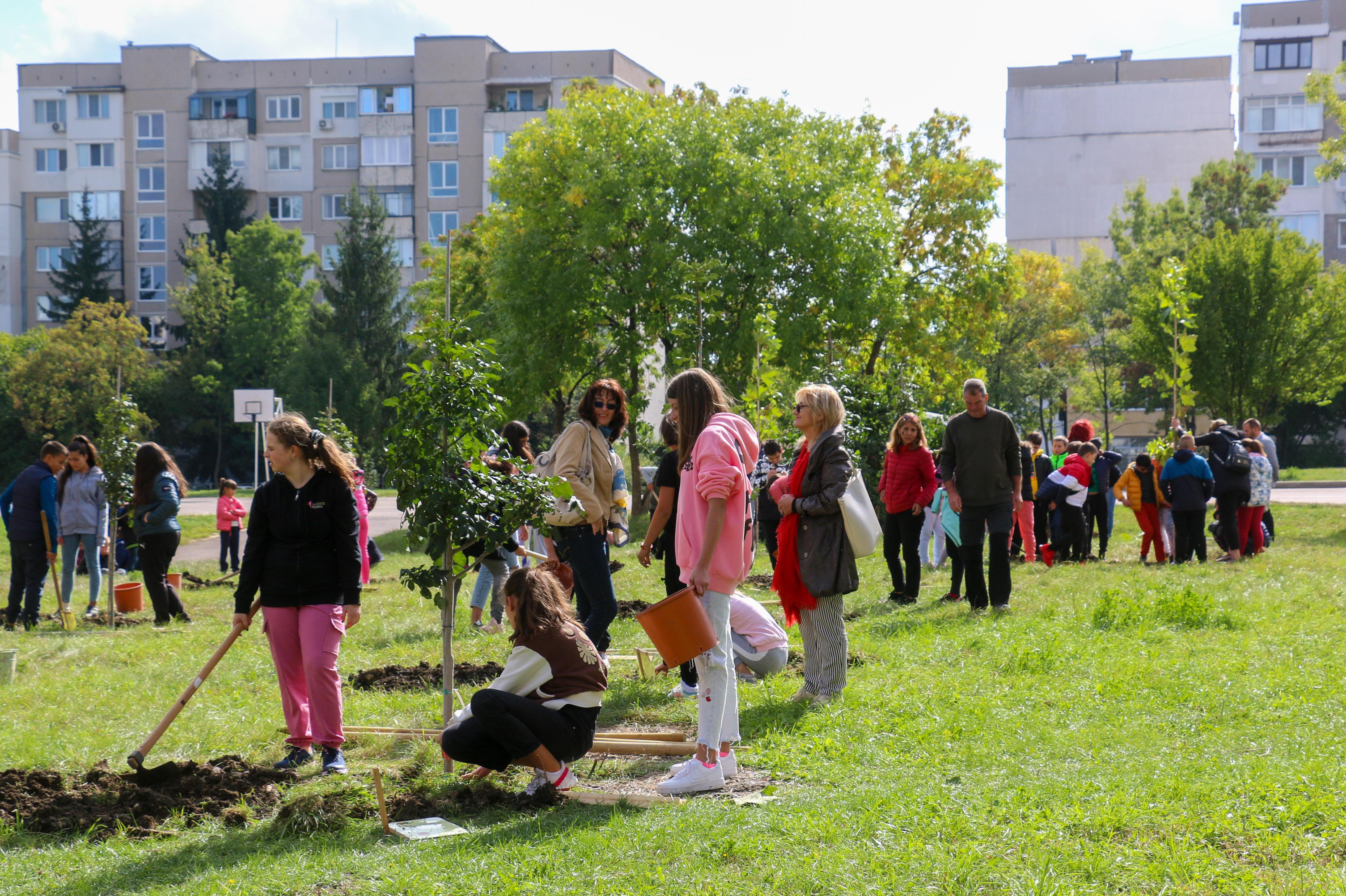Столична община започна есенното засаждане на дървета