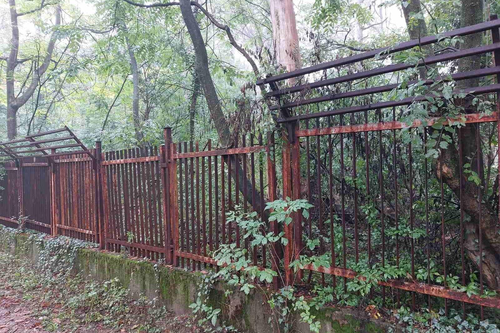 В Борисовата градина махат ограда на къпалня "Мария Луиза", отварят 12 дека