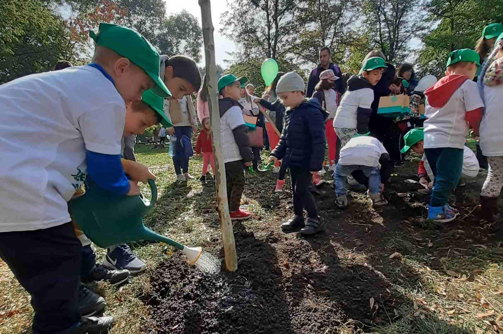 114 деца осиновиха 114 дървета в столичния парк „Надежда“