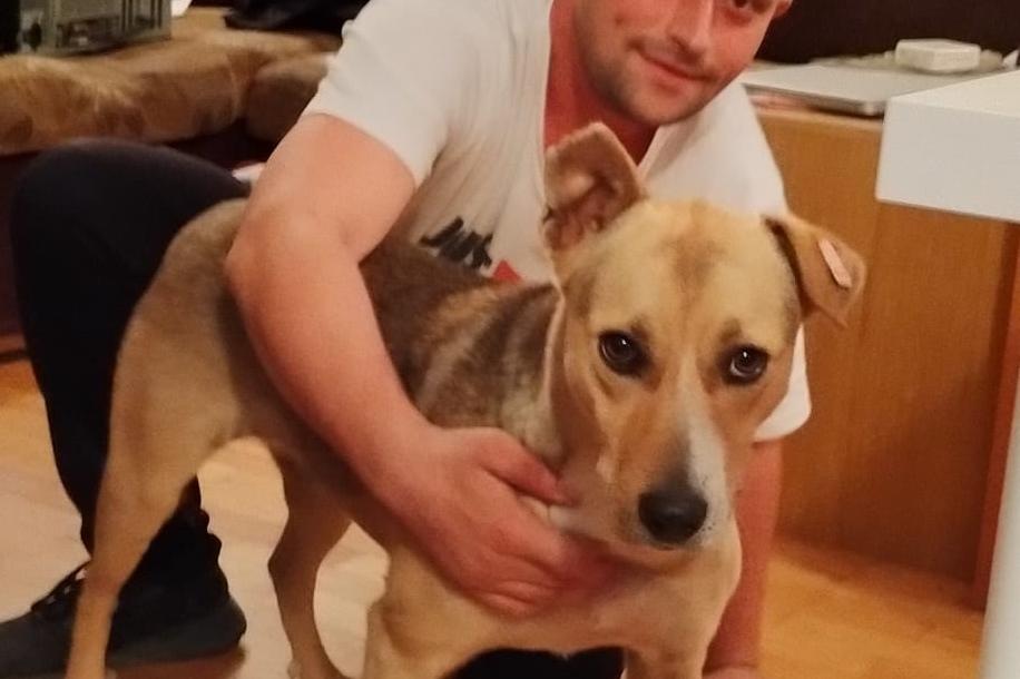 Мъж от София осигури дом на кучето от НС