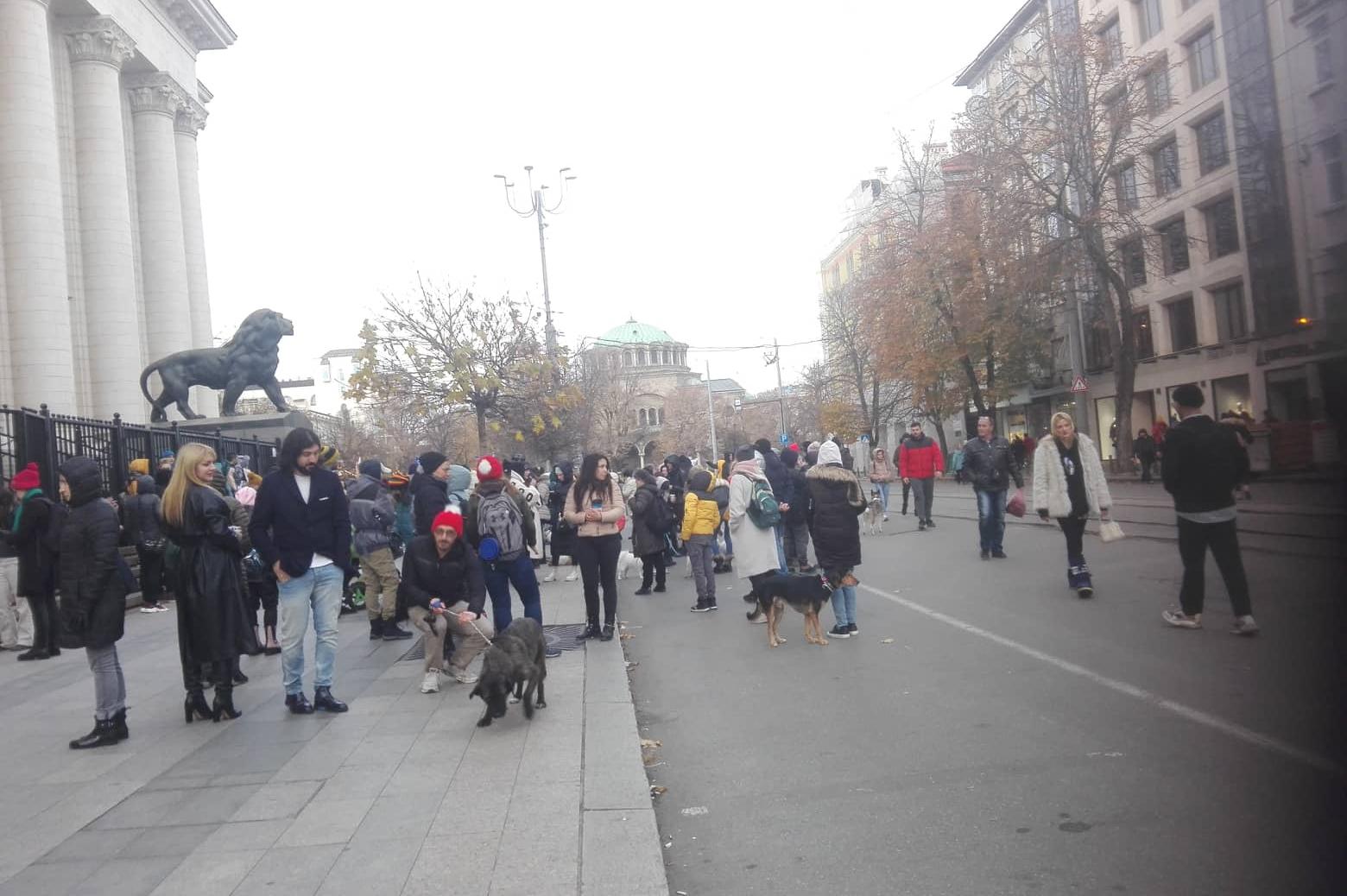 Столичани на протест с искане да се спре насилието над животните (СНИМКИ)