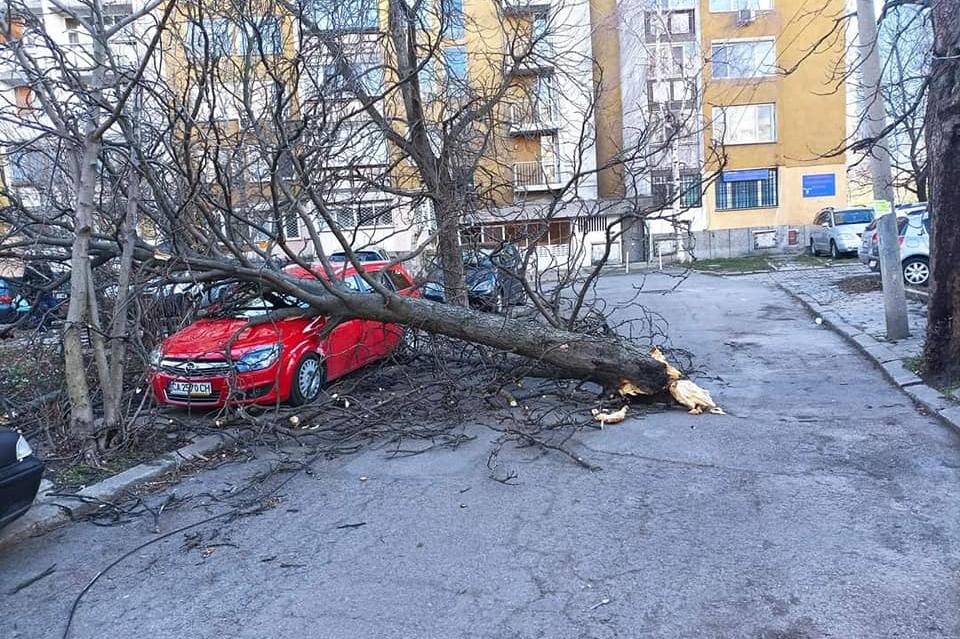 Над 130 сигнала са подадени в София заради лошото време
