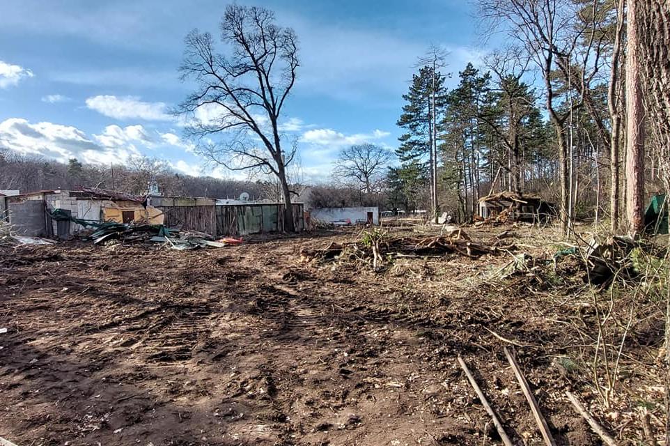 Трайчо Трайков за отсечените дървета: Разчиства се терен за строителни дейн