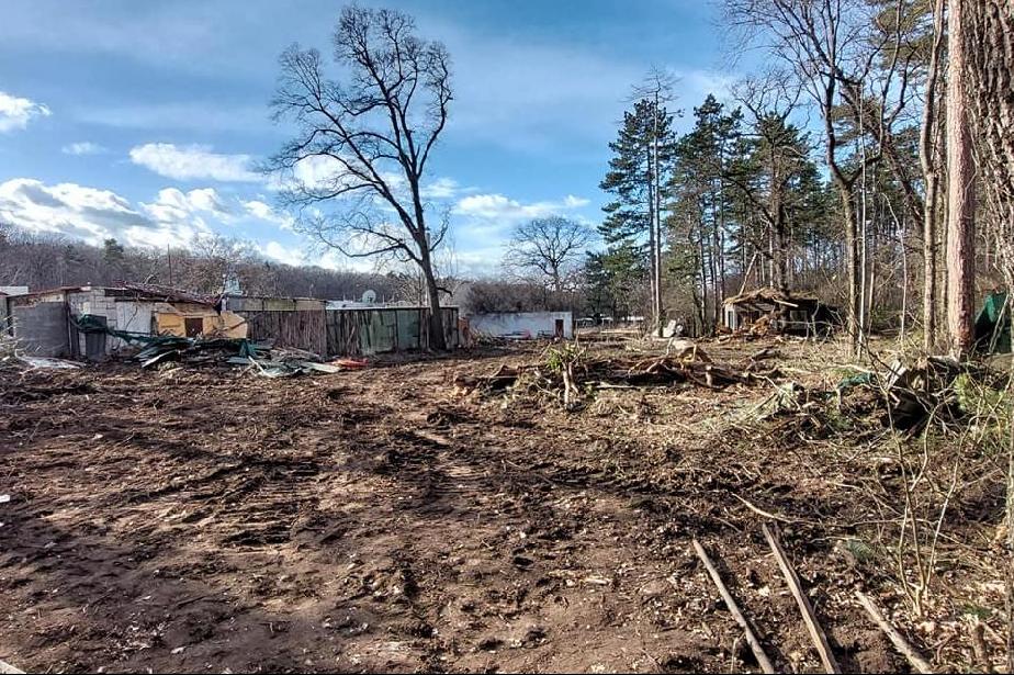 Трайчо Трайков за отсечените дървета: Разчиства се терен за строителни дейн