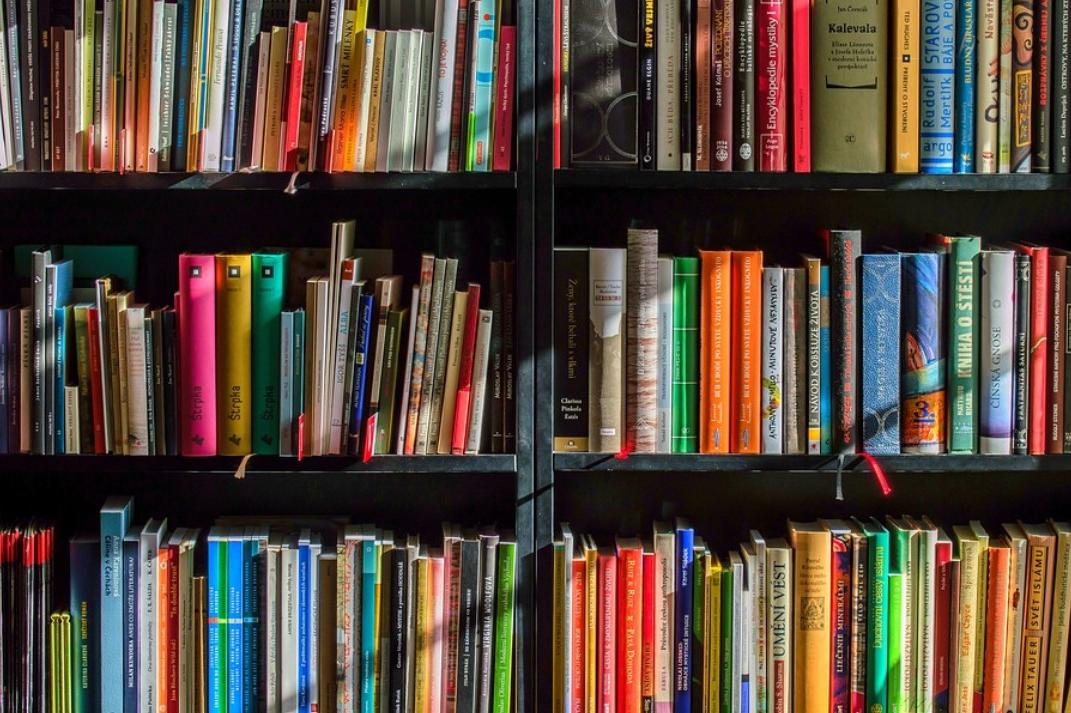 Район „Триадица“ събира книги за училището в Цариброд