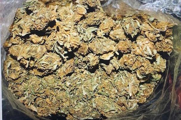 Столични полицаи иззеха близо 13 кг марихуана, задържани са петима