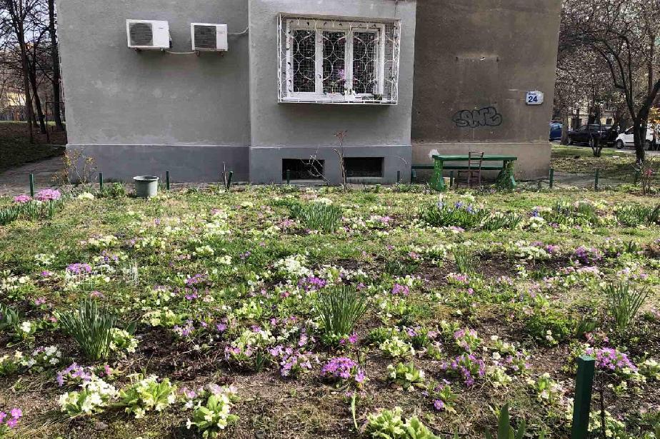 Най-нетърпеливите за пролетно озеленяване на София са жителите на „Красно с