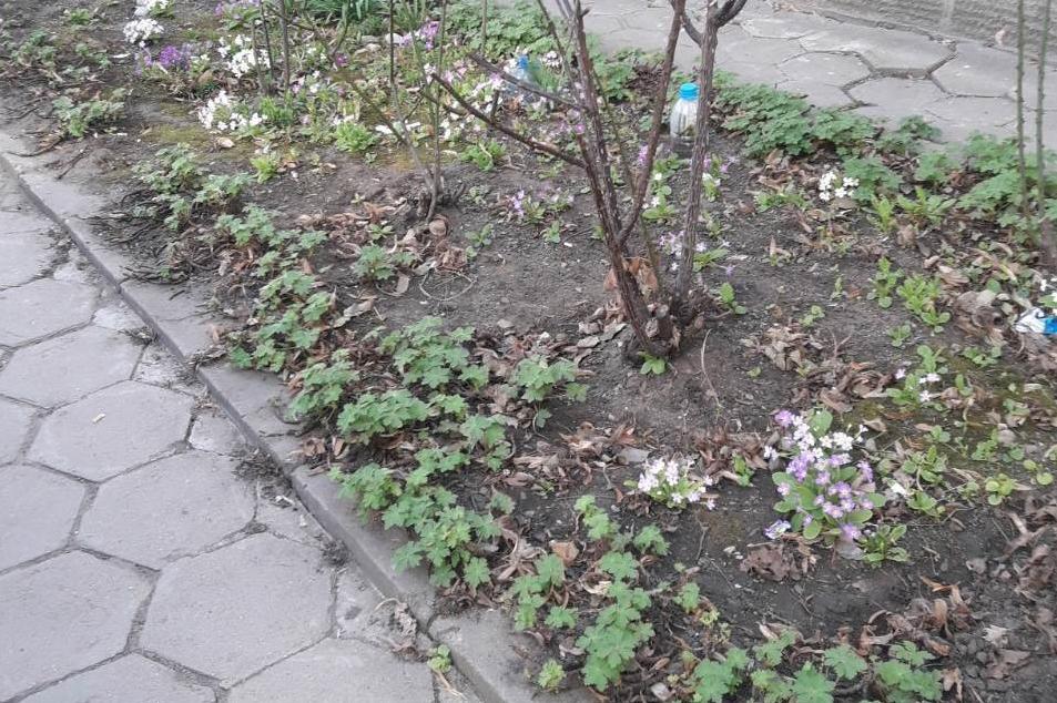 Продължава вторият етап от Пролетното почистване на София