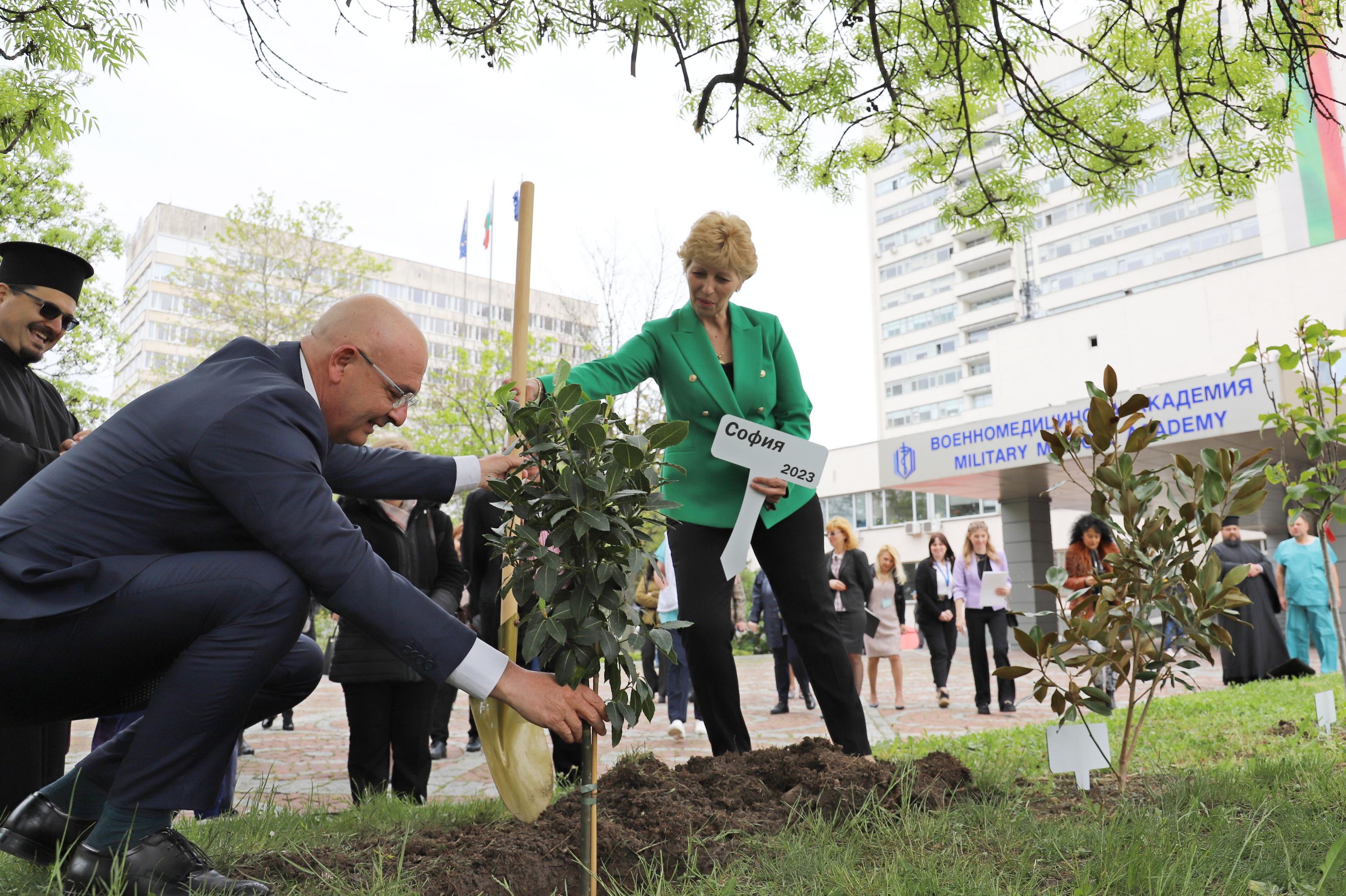 Засадиха лаврово дърво във ВМА – София за Деня на сестринството