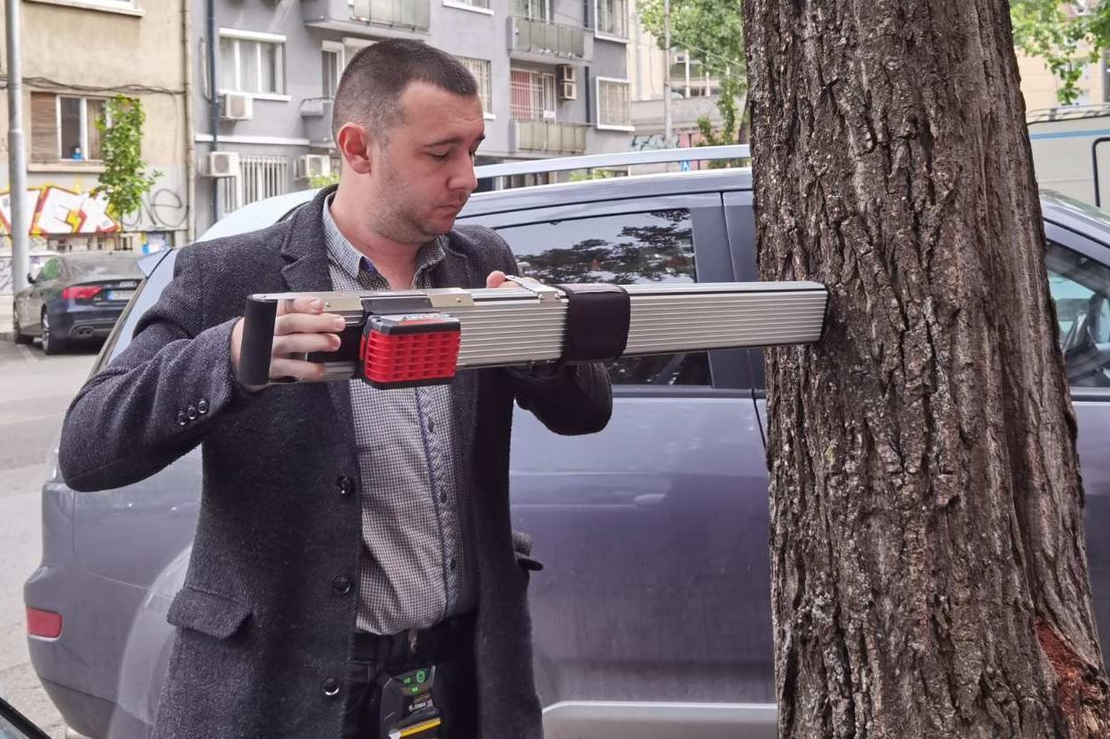 Подменят опасните тополи по столичния бук. „Васил Левски“ с чинари