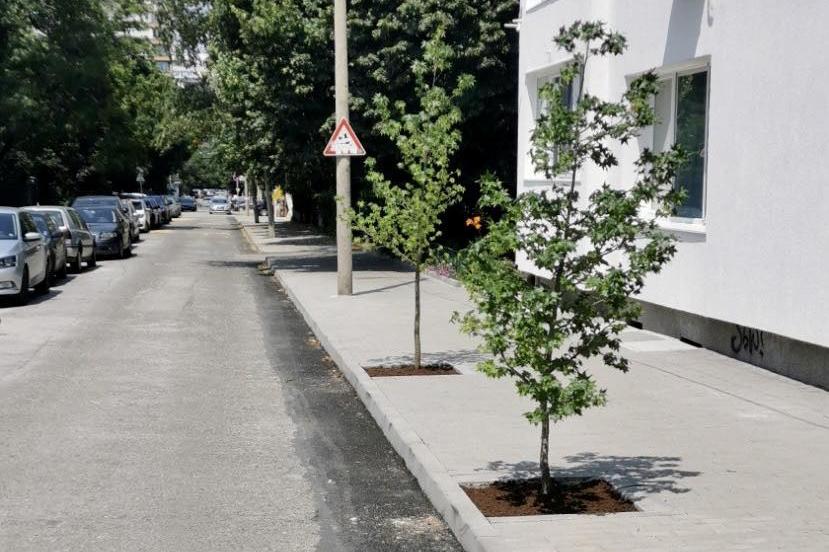 Нов тротоар и дръвчета на столичната ул. "Елисавета Багряна"