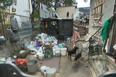 Жена прибира улични кучета и ги мъчи в Костенец