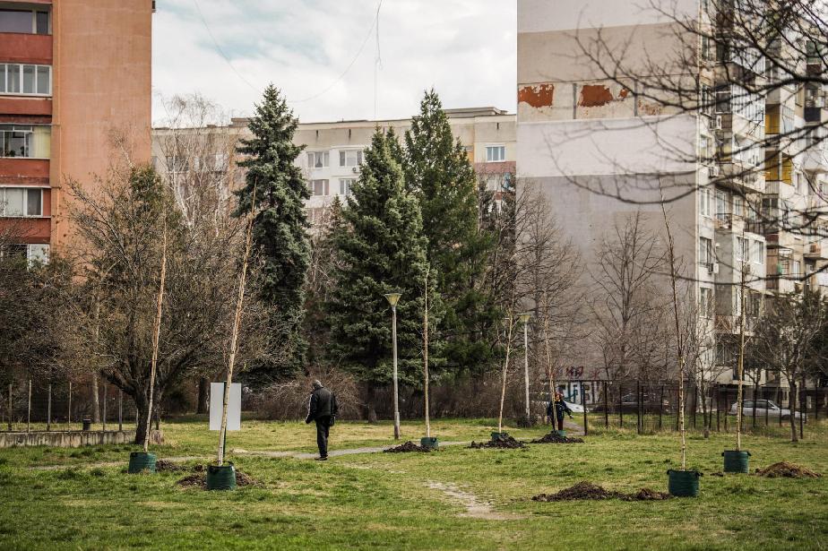 Терен в столичния „Левски Г“ ще стане по-зелен