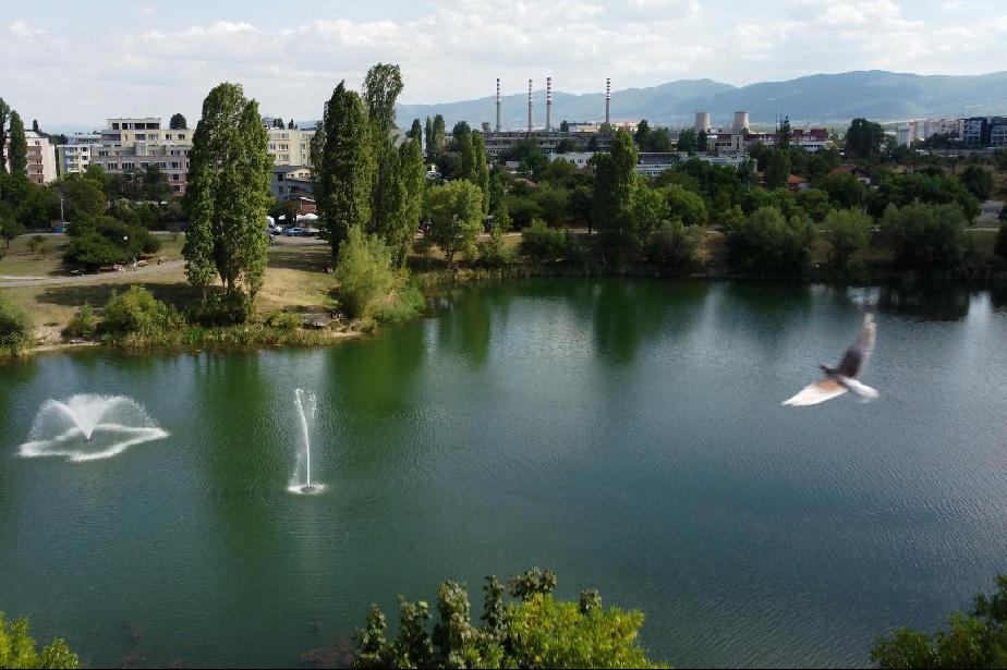 Езерото в столичния парк "Дружба" ще се сдобие с 300 кг бял амур