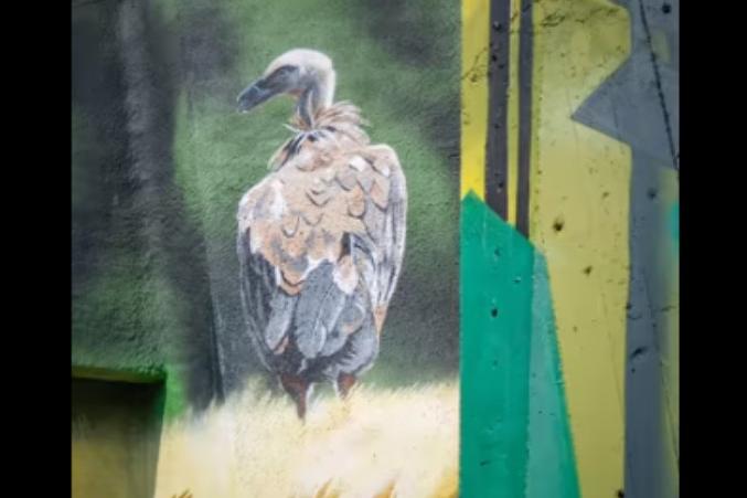 Графити майстор изрисува лешояди в столичния зоопарк