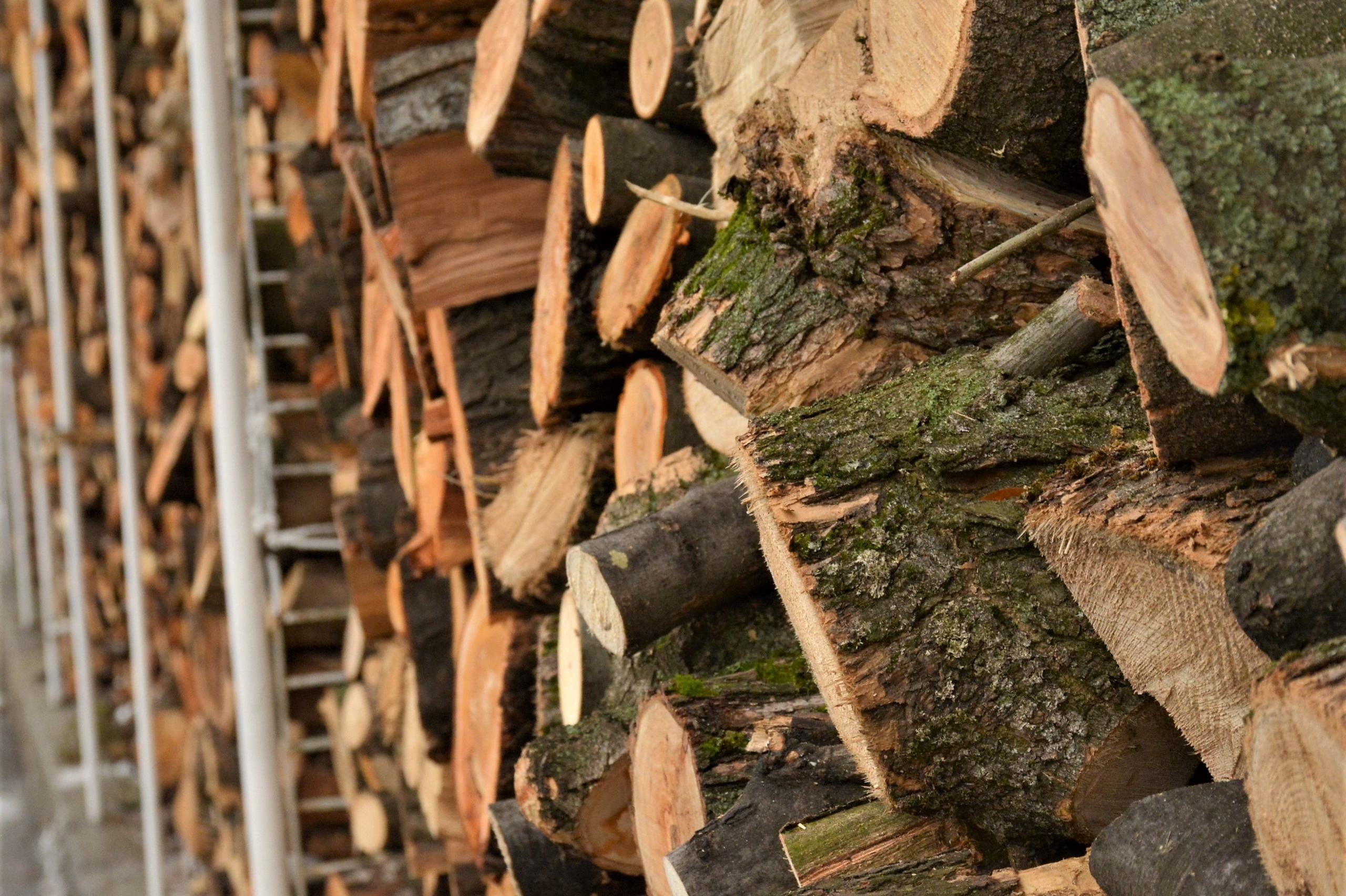 Полицията в Ихтиман иззе 25 кубика незаконна дървесина