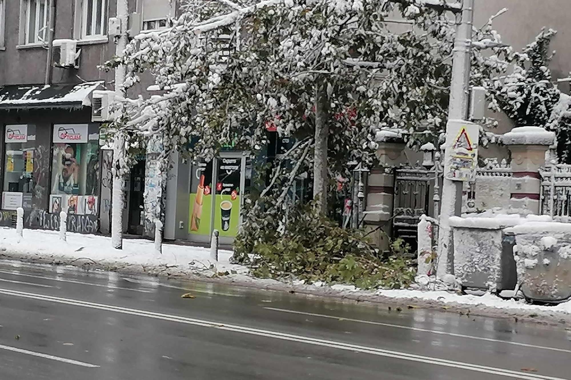 Обработват булеварди и улици в София срещу заледяване