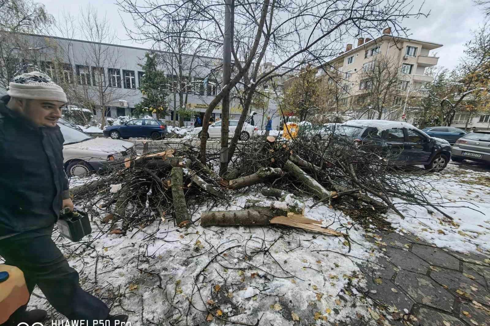 Продължава разчистването на столичния Изгрев от паднали дървета  (СНИМКИ)