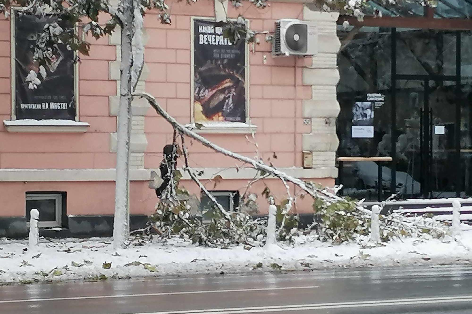 Спирките в София разчистени, но няма достъп до тях. Паднали клони в Младост