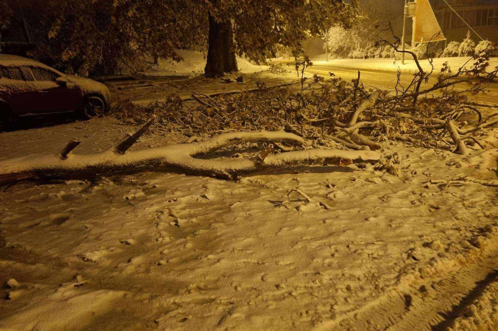 В Панчарево разчистика Самоковско шосе през нощта, паднали дървета има на п