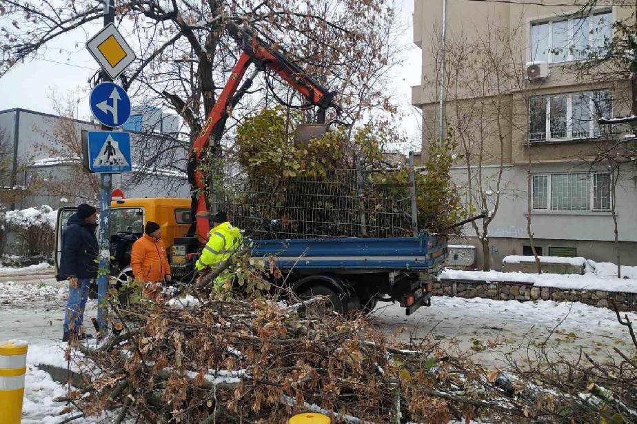 Продължава разчистването на столичния Изгрев от паднали дървета  (СНИМКИ)