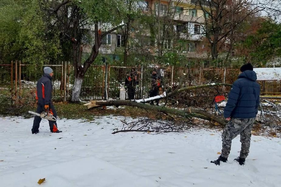 Администрацията на столичния Надежда разчисти градини и училища от падналит