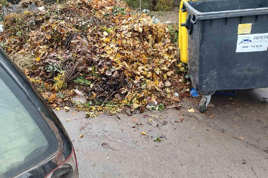 Глобиха столичанин заради изхвърлени клони и храсти в Панчарево