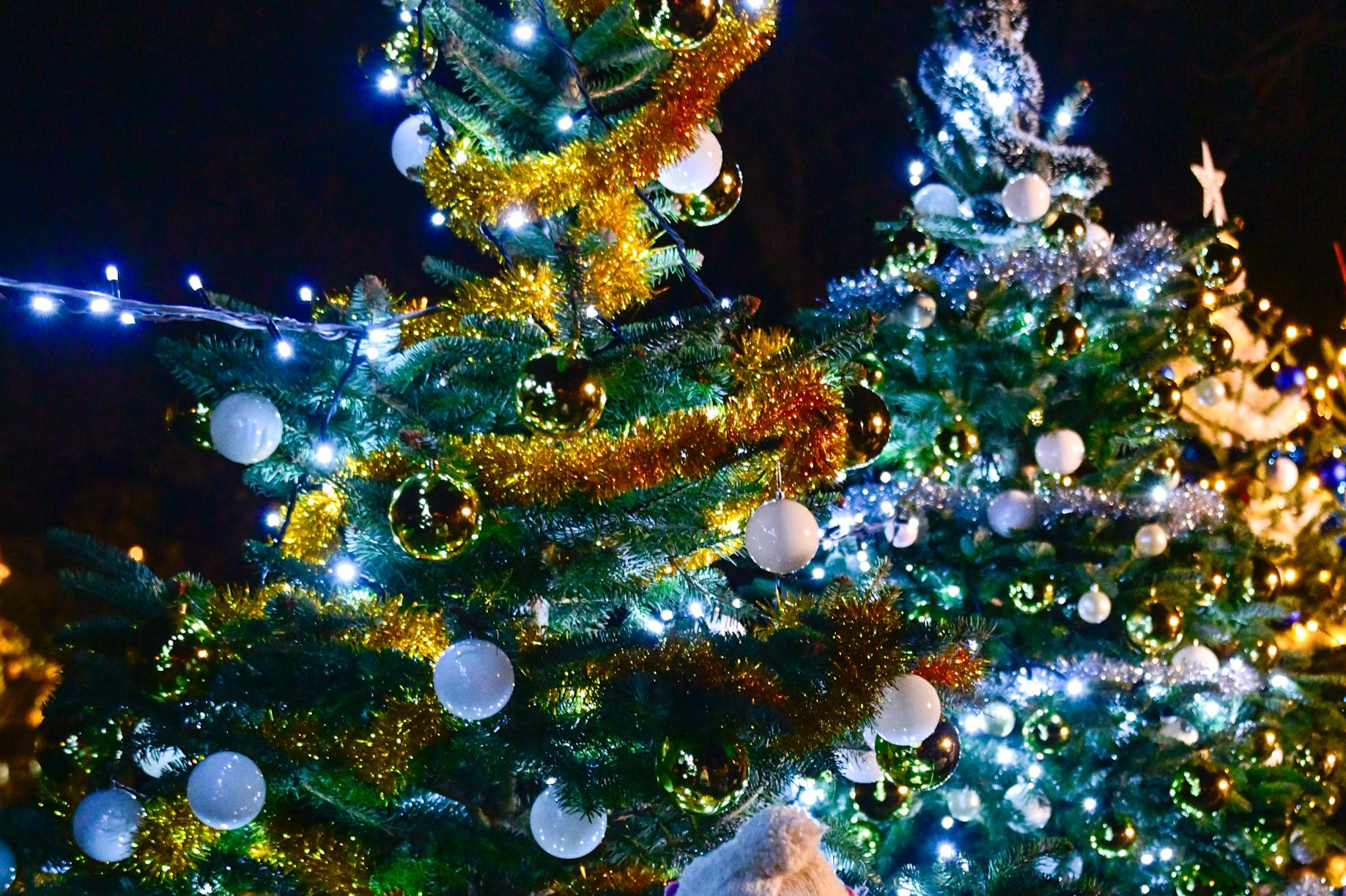 Коледна елха грейна до храм „Св. Александър Невски“