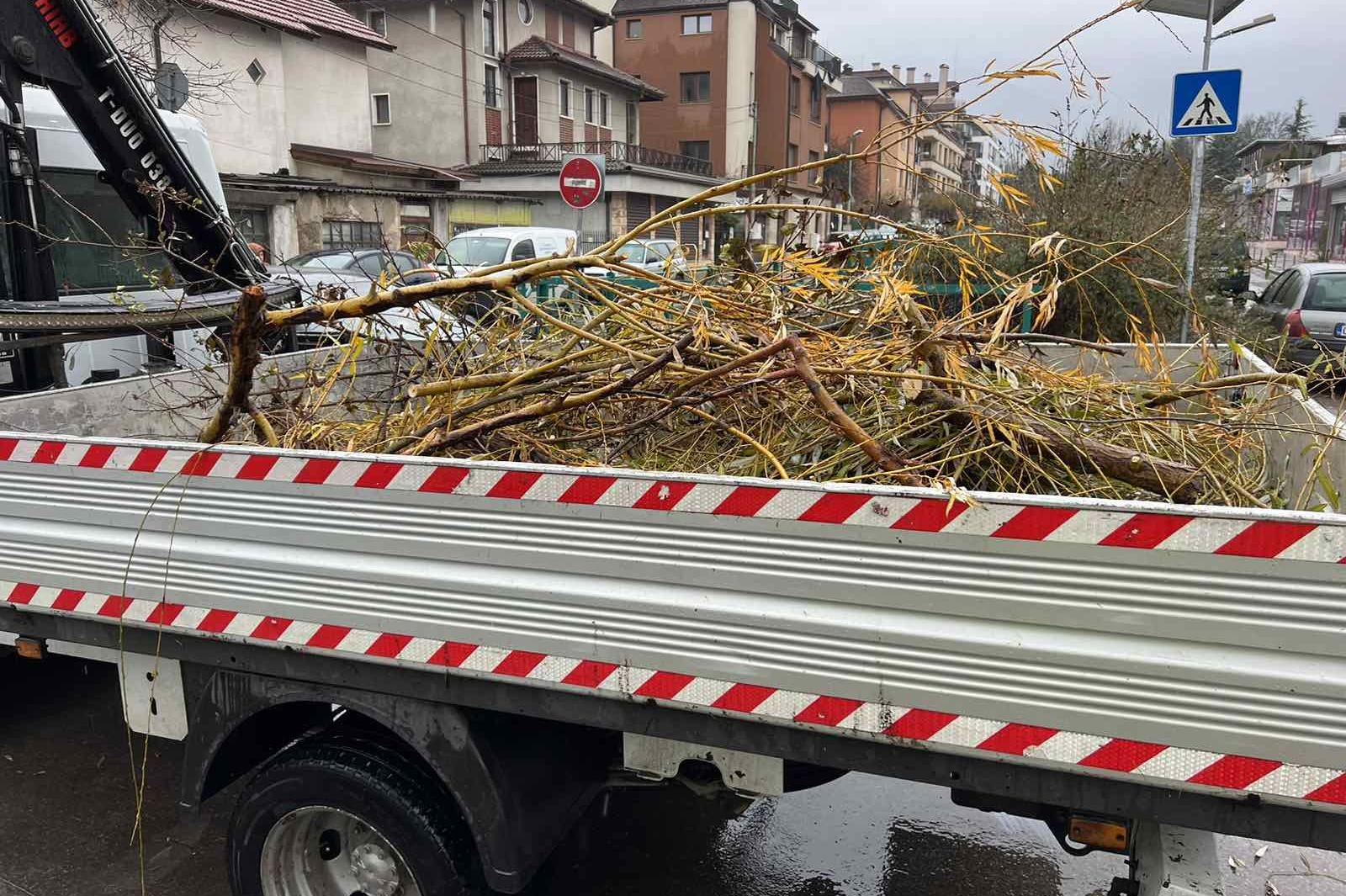 Над 750 тона дървета са извозени в София от началото на снеговалежа