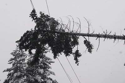Обилният сняг спря тока на няколко места в Софийско
