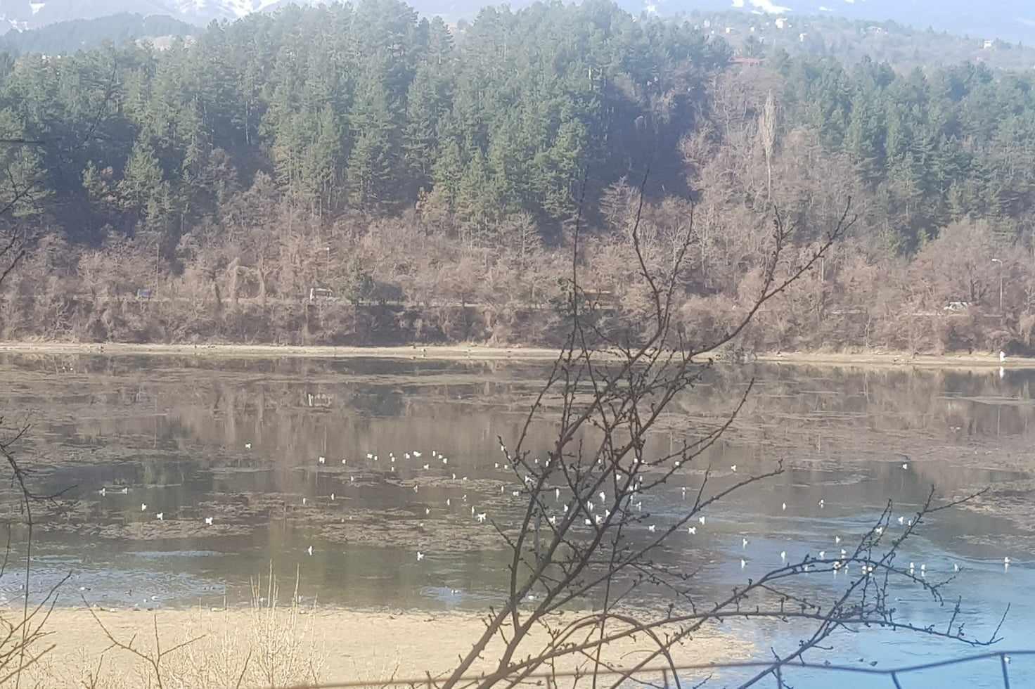 Кой трябва да почисти Панчаревското езеро? Непочистеният водоем не отказва 