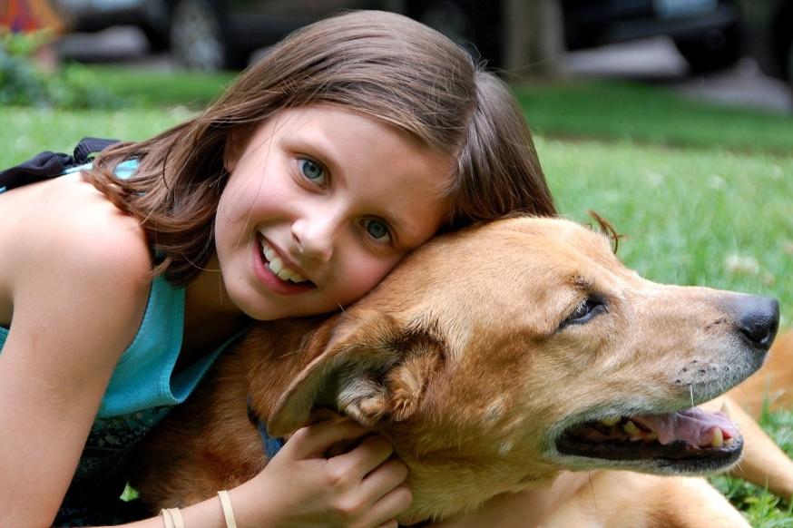 Софийски деца ще се докоснат до света на ветеринарната медицина