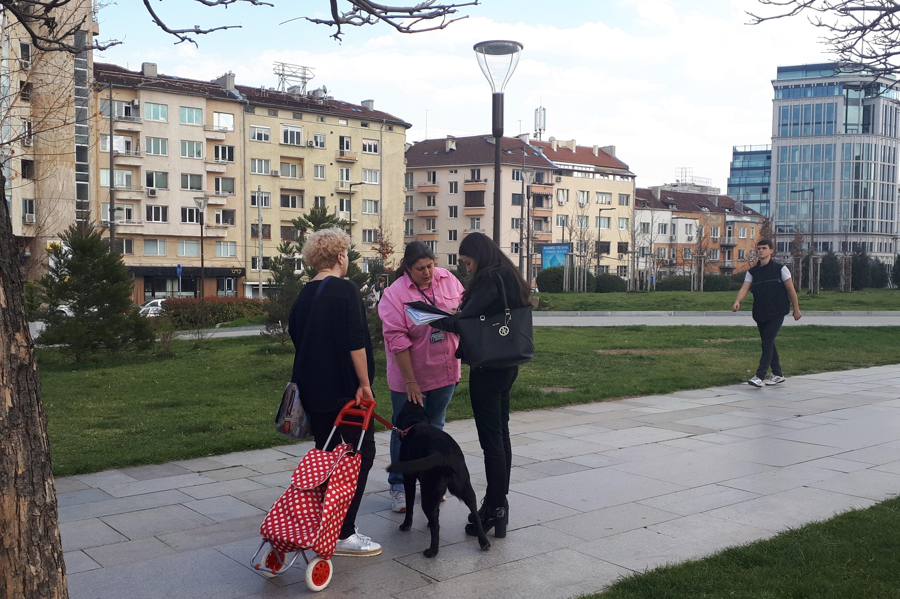 10 стопани на кучета в София са санкционирани през януари