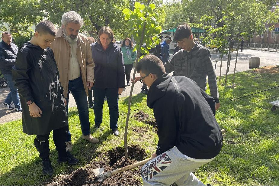 В Деня на Земята: Столични ученици засадиха дръвче в градинка “Алжир”